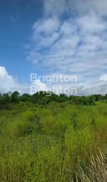 image TANAH BYPASS PROF.DR.IDA BAGUS MANTRA (2)