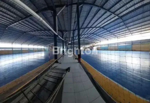 image DISEWAKAN/DIJUAL GOR FUTSAL CIPAMOKOLAN BANDUNG (3)