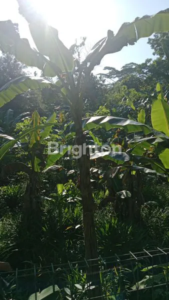 image LAHAN KOSONG DITENGAH KOTA BALIKPAPAN SIAP BANGUN (7)