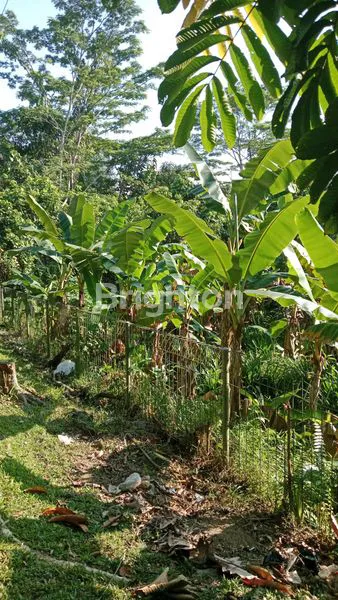image LAHAN KOSONG DITENGAH KOTA BALIKPAPAN SIAP BANGUN (5)