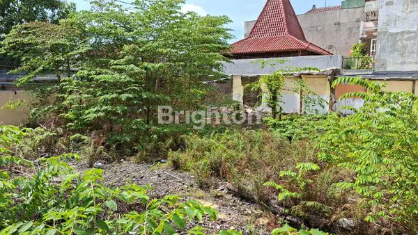 image TANAH HOEK DI KOTA SOLO (5)