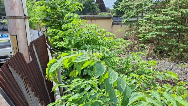 image TANAH HOEK DI KOTA SOLO (6)