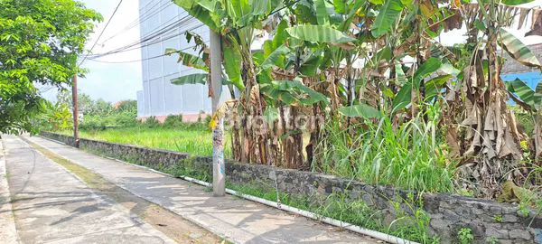 image TANAH 705M DI JATEN DEKAT JUMBO (2)