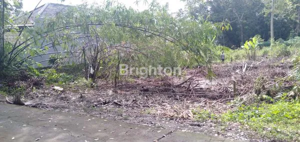 SANGAT MURAH TANAH PEKARANGAN, LINGKUNGAN KOS DAN HOMESTAY