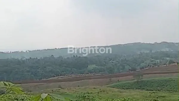 image DI JUAL LAHAN SUKABUMI( KOPI, ALPOKAT,JATI ) (3)