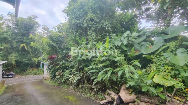 TANAH 2 ARE CENTRAL UBUD ZONA PARIWISATA COCOK UNTUK BANGUN VILLA