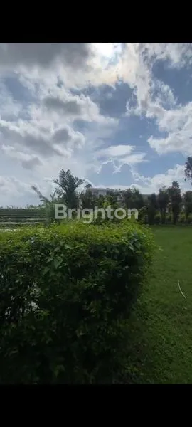 image LAHAN SEWA CANGGU  (3)