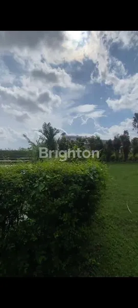 image LAHAN SEWA CANGGU  (1)