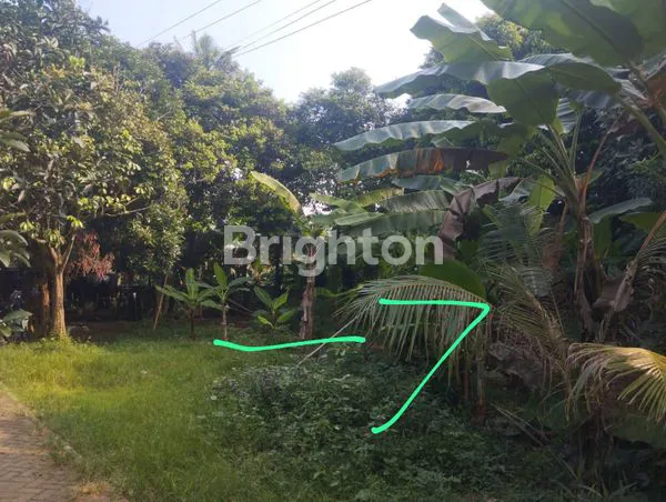 image TANAH DIJUAL MURAH PAMULANG  (2)