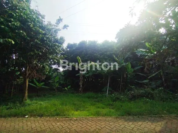 image TANAH DIJUAL MURAH PAMULANG  (1)