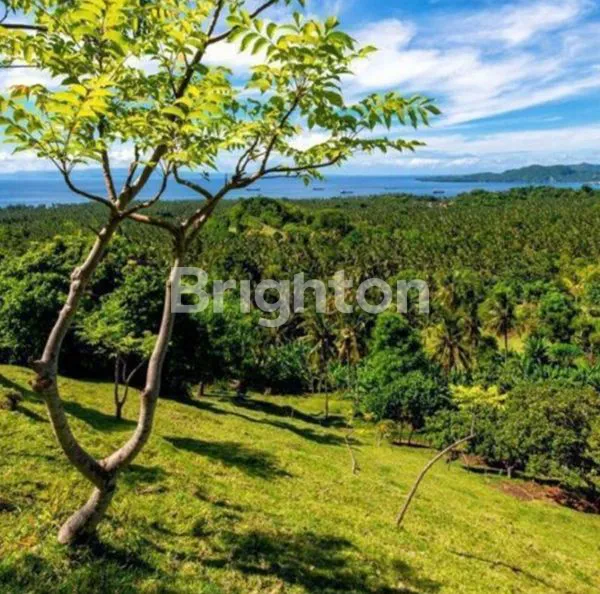 DIJUAL, LAHAN DI KLUNGKUNG, BALI