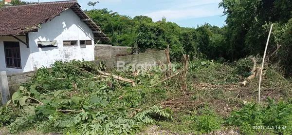 TANAH SIAP BANGUN LINGKUNGAN VILLA DI UNGASAN