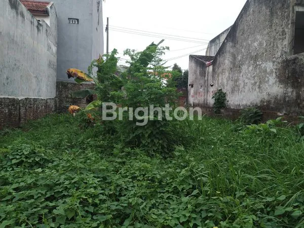 image TANAH MURAH DI LOKASI STRATEGIS SELANGKAH DARI JALAN SUNADAR PRIYO SUDARMO, PURWANTORO, BLIMBING, MALANG. (4)