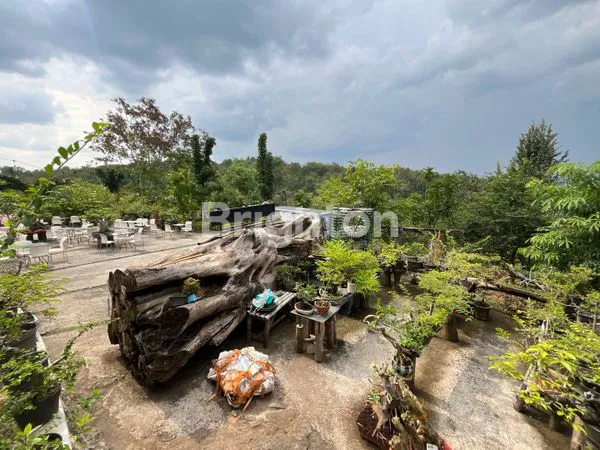 image LAHAN WISATA STRATEGIS SURGA TERSEMBUNYI DI SELATAN SUKOHARJO JAWA TENGAH (8)
