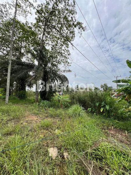 TANAH LOKASI STRATEGIS DI DEKAT PINTU GERBANG TOL PALINDRA PALEMBANG
