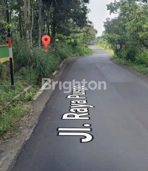 image GUDANG DI PUSPO,PASURUAN, DI SEWAKAN (1)