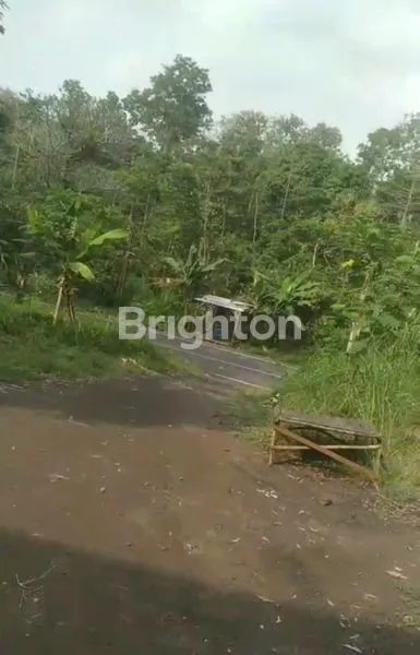 image GUDANG DI PUSPO,PASURUAN, DI SEWAKAN (3)