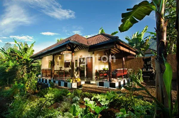 image SEWA CAFE & KEBUN ORGANIK DAN RUMAH TINGGAL DI SENGANAN, TABANAN, BALI (2)