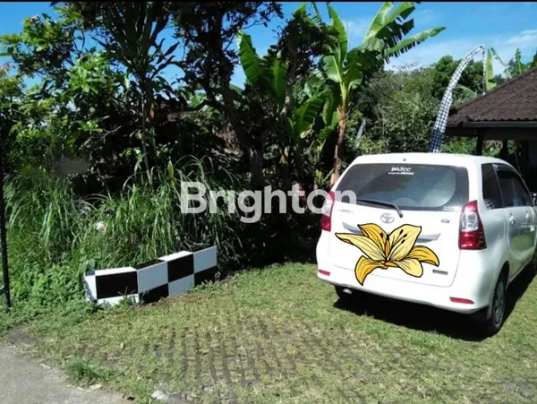 image SEWA CAFE & KEBUN ORGANIK DAN RUMAH TINGGAL DI SENGANAN, TABANAN, BALI (4)