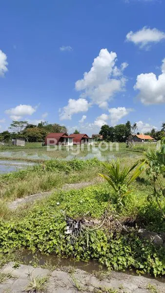 image TANAH PREMIUM DI UBUD – TEGES KANGINAN  (3)