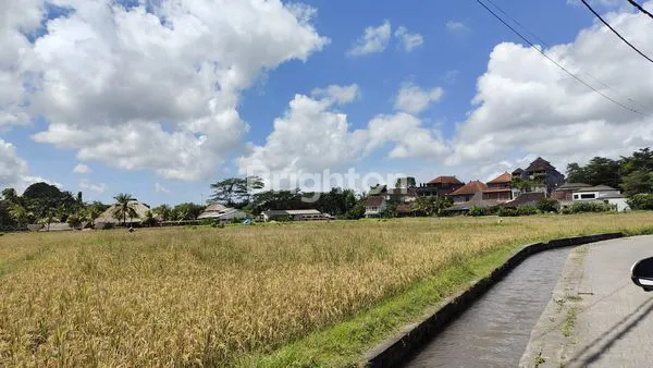 image TANAH PREMIUM DI UBUD – TEGES KANGINAN  (1)