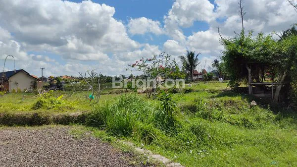 image TANAH PREMIUM DI UBUD – TEGES KANGINAN  (6)
