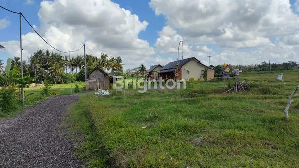 image TANAH PREMIUM DI UBUD – TEGES KANGINAN  (7)