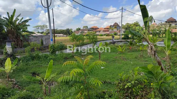 image TANAH PREMIUM DI UBUD – TEGES KANGINAN  (2)