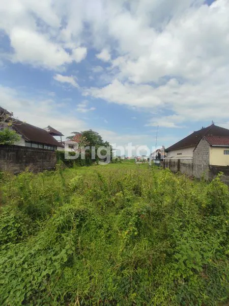 image TANAH SELUAS 2350M² ITR PINK DI CEMAGI (1)