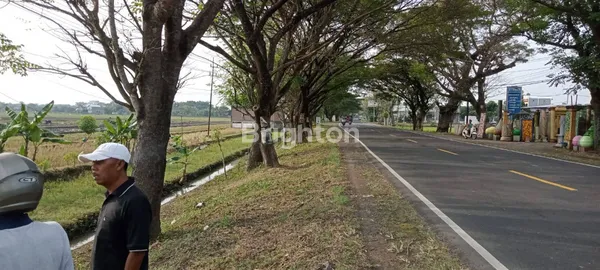 image DIJUAL LAHAN INDUSTRI NOLL JALAN PROVINSI NGAWI, LOKASI SANGAT STRATEGIS (2)