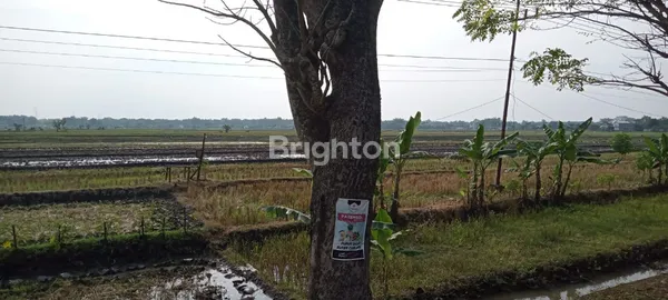 image DIJUAL LAHAN INDUSTRI NOLL JALAN PROVINSI NGAWI, LOKASI SANGAT STRATEGIS (3)