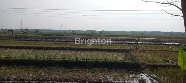 image DIJUAL LAHAN INDUSTRI NOLL JALAN PROVINSI NGAWI, LOKASI SANGAT STRATEGIS (4)