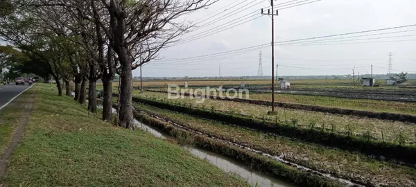 image DIJUAL LAHAN INDUSTRI NOLL JALAN PROVINSI NGAWI, LOKASI SANGAT STRATEGIS (5)