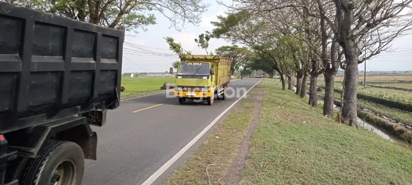 image DIJUAL LAHAN INDUSTRI NOLL JALAN PROVINSI NGAWI, LOKASI SANGAT STRATEGIS (6)