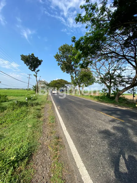LAHAN INDUSTRI NGAWI JATIM, LOKASI STRATEGIS, DEKAT PROYEK FEEDMILL NGAWI