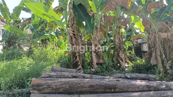 image TANAH STRATEGIS PINGGIR JALAN RAYA PROVINSI DEKAT KANTOR IMIGRASI CARUBAN MADIUN (4)