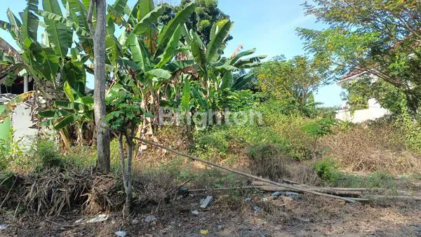 image TANAH STRATEGIS PINGGIR JALAN RAYA PROVINSI DEKAT KANTOR IMIGRASI CARUBAN MADIUN (2)