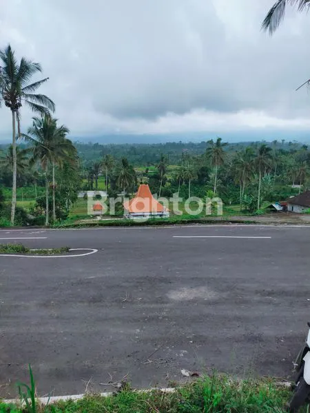 TANAH 1,25 HEKTAR THE BEST VIEW DI PELAGA BALI