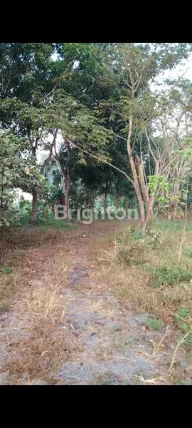 image TANAH KONTUR BALONG PALAGAN, COCOK UNTUK VILLA  (6)