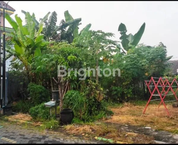 image TANAH KAVLING STRATEGIS DI PERUM PURI SURYA, SIDOARJO HARGA TERJANGKAU (2)