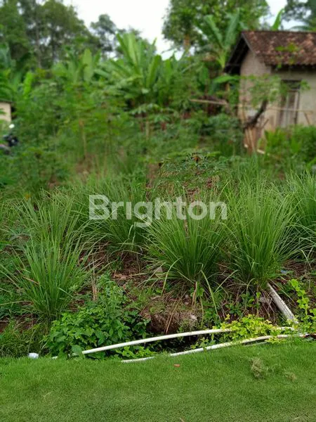 image TANAH SELUAS 3000 M2 DI BATU PUTU, BANDAR LAMPUNG  (1)