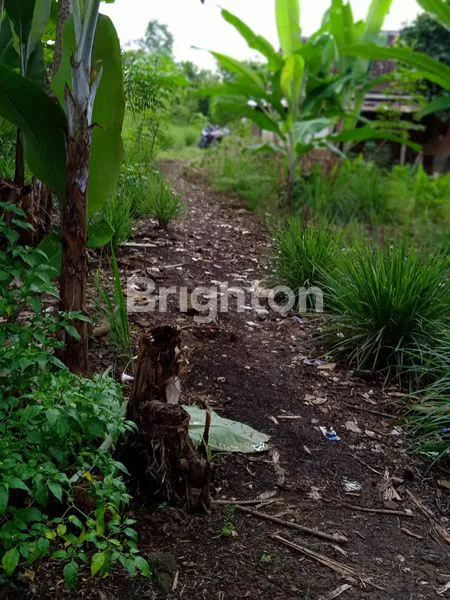 image TANAH SELUAS 3000 M2 DI BATU PUTU, BANDAR LAMPUNG  (3)