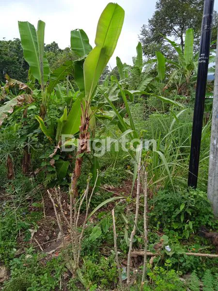 image TANAH SELUAS 7000 M2 DI BATU PUTU, BANDAR LAMPUNG  (5)