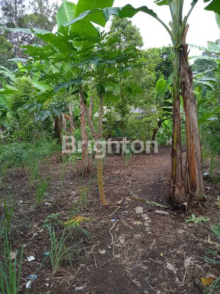 image TANAH SELUAS 18.000 M2 DI BATU PUTU, BANDAR LAMPUNG (1)