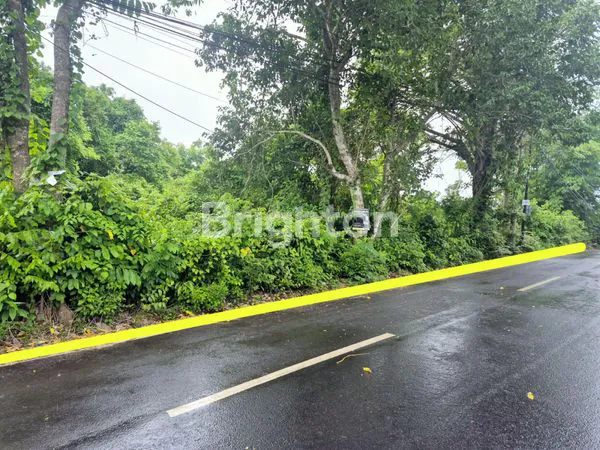 image DIJUAL TANAH 40ARE PECATU  (3)