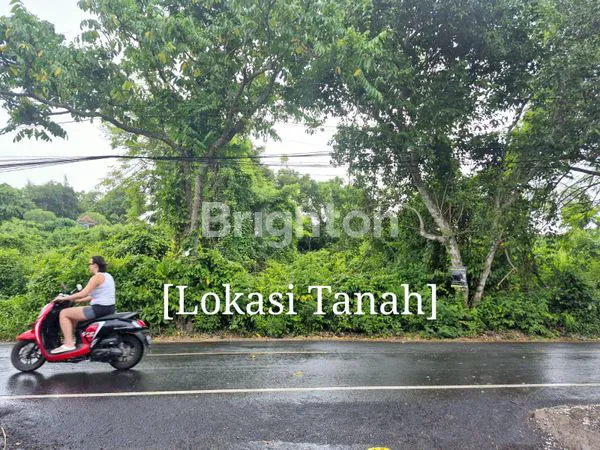 image DIJUAL TANAH 40ARE PECATU  (1)