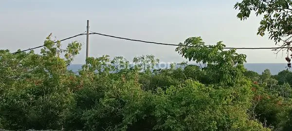 image DIJUAL TANAH PANDAWA FULL VIEW (8)