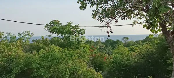 image DIJUAL TANAH PANDAWA FULL VIEW (2)