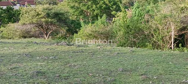 image DIJUAL TANAH PANDAWA FULL VIEW (4)