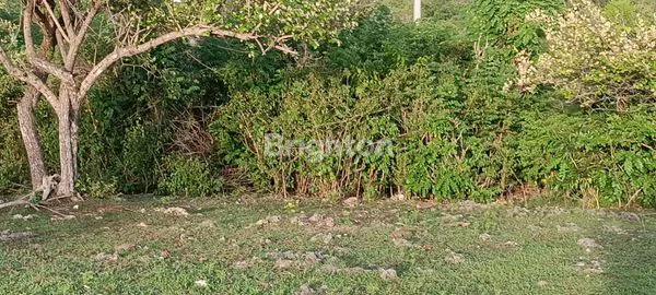 image DIJUAL TANAH PANDAWA FULL VIEW (5)